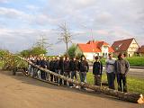 Maibaum 75